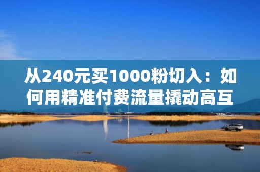 从240元买1000粉切入：如何用精准付费流量撬动高互动真实用户，提升账号权重与推荐量