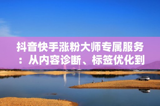 抖音快手涨粉大师专属服务：从内容诊断、标签优化到投流闭环，全链路加速流量增长