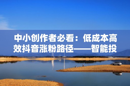 中小创作者必看：低成本高效抖音涨粉路径——智能投流+数据复盘+账号冷启动SOP