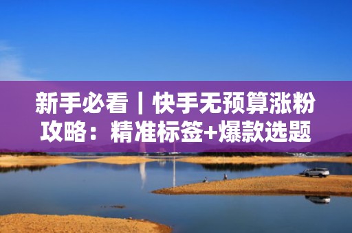 新手必看｜快手无预算涨粉攻略：精准标签+爆款选题+发布时间三步起号法