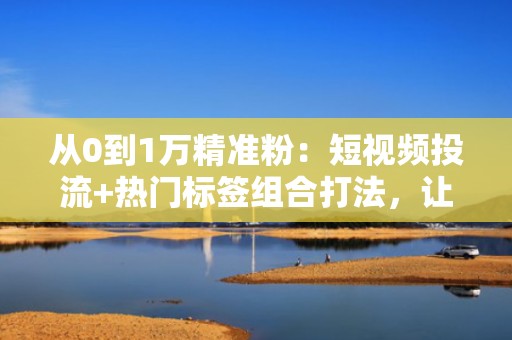 从0到1万精准粉：短视频投流+热门标签组合打法，让快手账号持续上热门