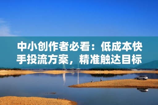 中小创作者必看：低成本快手投流方案，精准触达目标人群，实现粉丝与热门双爆发