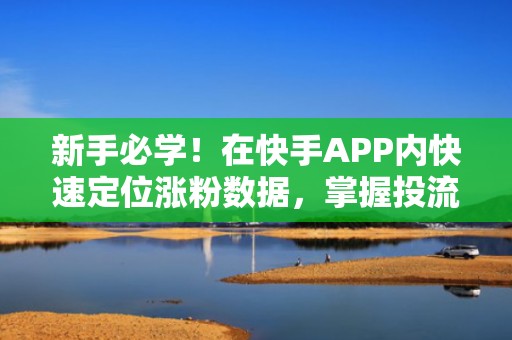 新手必学！在快手APP内快速定位涨粉数据，掌握投流效果核心指标