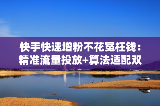 快手快速增粉不花冤枉钱:精准流量投放+算法适配双引擎驱动 快手快速增粉不花冤枉钱:精准流量投放+算法适配双引擎驱动