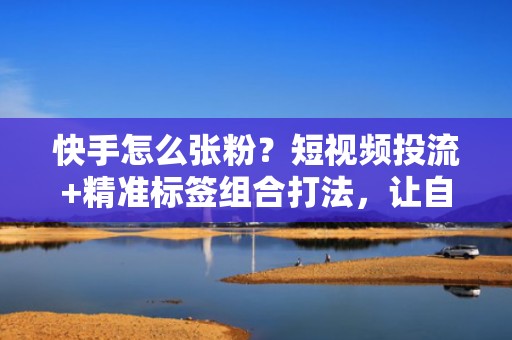 快手怎么张粉?短视频投流+精准标签组合打法,让自然流量翻倍增长