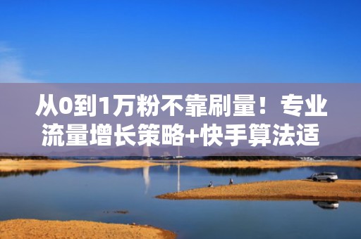 从0到1万粉不靠刷量！专业流量增长策略+快手算法适配技巧全解析
