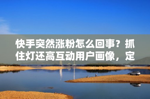 快手突然涨粉怎么回事？抓住灯还高互动用户画像，定制化短视频投流策略快速起量
