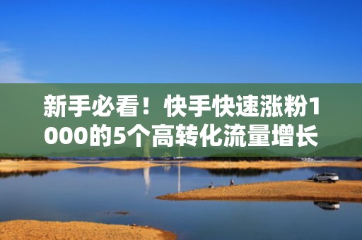 新手必看！快手快速涨粉1000的5个高转化流量增长技巧（附投流参数设置）