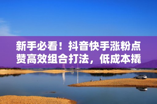 新手必看！抖音快手涨粉点赞高效组合打法，低成本撬动高转化流量池