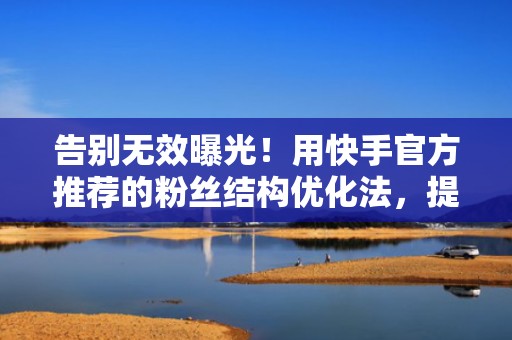 告别无效曝光！用快手官方推荐的粉丝结构优化法，提升短视频完播率与ROI