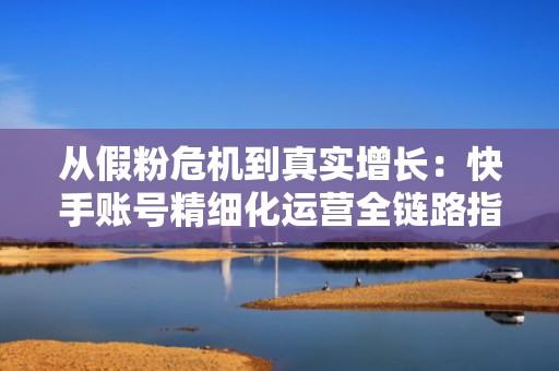 从假粉危机到真实增长：快手账号精细化运营全链路指南（含投流提效实操模板）
