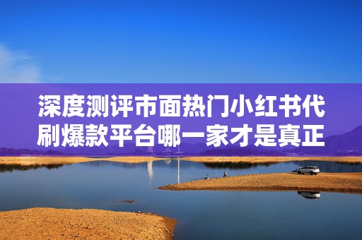 深度测评市面热门小红书代刷爆款平台哪一家才是真正安全靠谱的首选