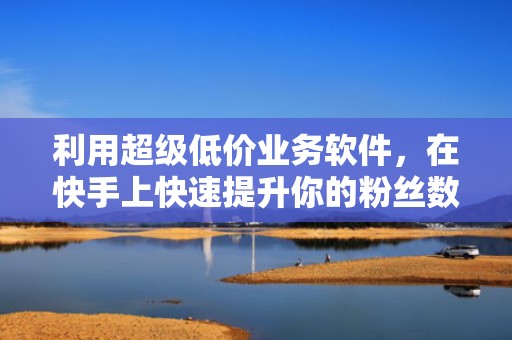 利用超级低价业务软件，在快手上快速提升你的粉丝数量