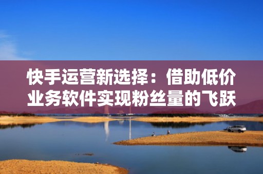 快手运营新选择：借助低价业务软件实现粉丝量的飞跃