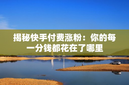 揭秘快手付费涨粉：你的每一分钱都花在了哪里