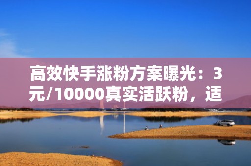 高效快手涨粉方案曝光：3元/10000真实活跃粉，适配新号冷启动与老号流量破圈