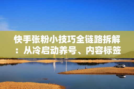 快手张粉小技巧全链路拆解：从冷启动养号、内容标签强化到投流人群包搭建