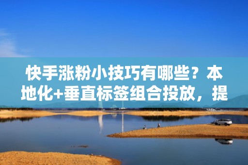 快手涨粉小技巧有哪些？本地化+垂直标签组合投放，提升投流转化率