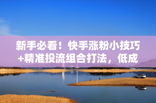 新手必看！快手涨粉小技巧+精准投流组合打法，低成本撬动自然流量池，实现粉丝持续增长