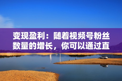 变现盈利：随着视频号粉丝数量的增长，你可以通过直播带货、广告合作等方式实现变现盈利。