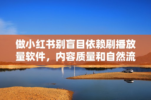 做小红书别盲目依赖刷播放量软件，内容质量和自然流量更值得投入