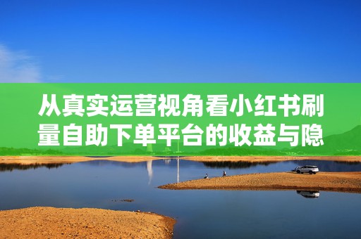 从真实运营视角看小红书刷量自助下单平台的收益与隐患