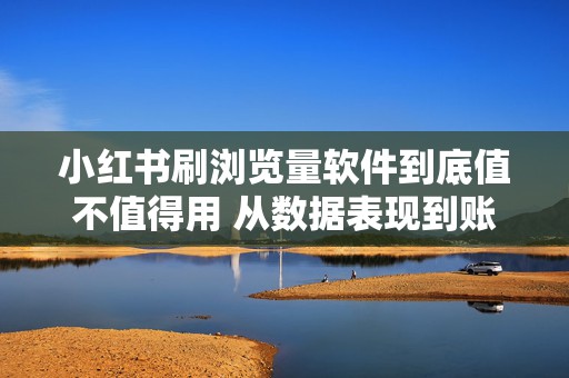 小红书刷浏览量软件到底值不值得用 从数据表现到账号影响全解析