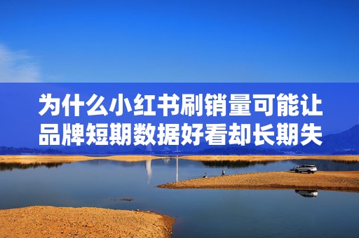 为什么小红书刷销量可能让品牌短期数据好看却长期失去用户信任