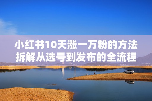 小红书10天涨一万粉的方法拆解从选号到发布的全流程思路