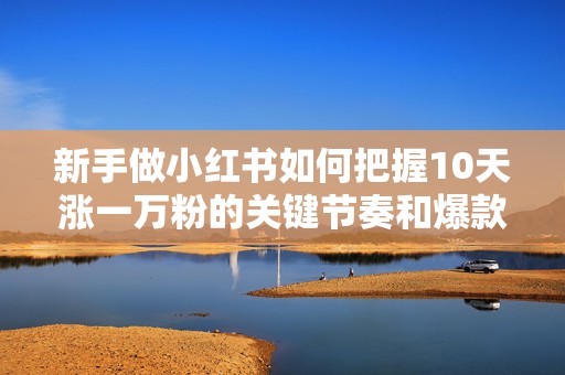 新手做小红书如何把握10天涨一万粉的关键节奏和爆款内容逻辑