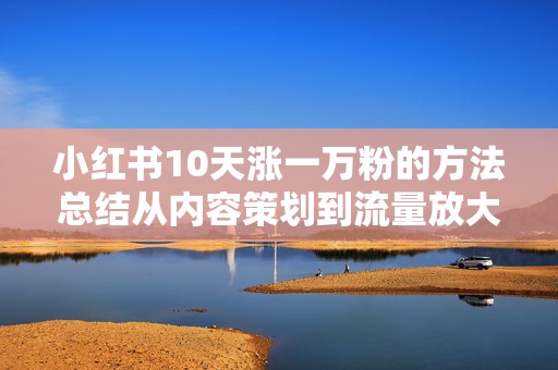 小红书10天涨一万粉的方法总结从内容策划到流量放大的操作要点