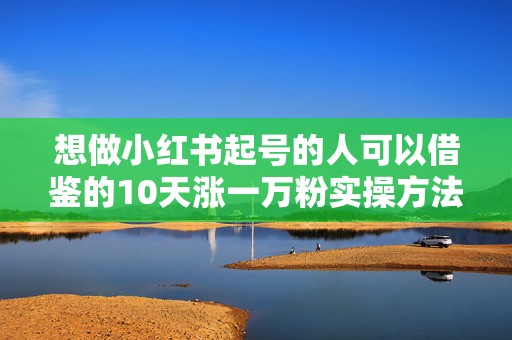 想做小红书起号的人可以借鉴的10天涨一万粉实操方法
