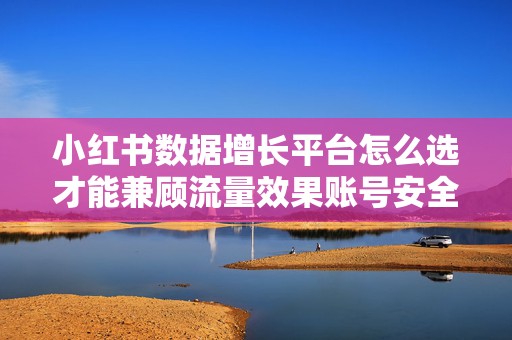 小红书数据增长平台怎么选才能兼顾流量效果账号安全与长期运营稳定