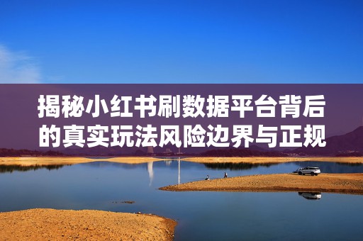 揭秘小红书刷数据平台背后的真实玩法风险边界与正规商家的选择逻辑
