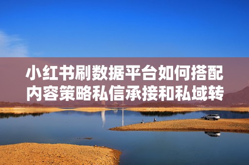小红书刷数据平台如何搭配内容策略私信承接和私域转化形成完整增长闭环