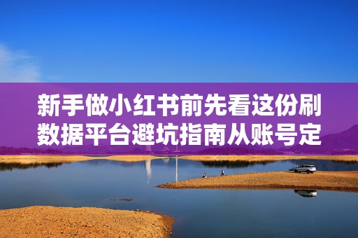 新手做小红书前先看这份刷数据平台避坑指南从账号定位到内容投放全梳理