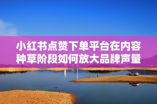小红书点赞下单平台在内容种草阶段如何放大品牌声量与用户兴趣