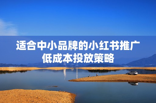 适合中小品牌的小红书推广低成本投放策略