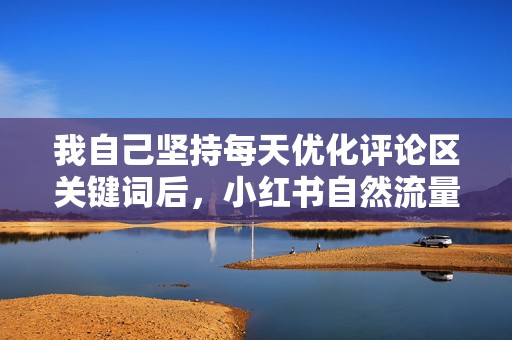 我自己坚持每天优化评论区关键词后,小红书自然流量从0到稳定涨粉真的没那么玄学