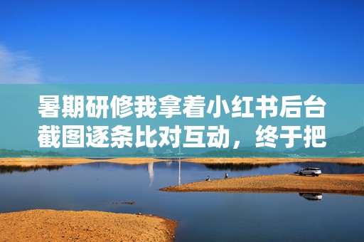 暑期研修我拿着小红书后台截图逐条比对互动，终于把代刷式流量换成真实评论和收藏路径