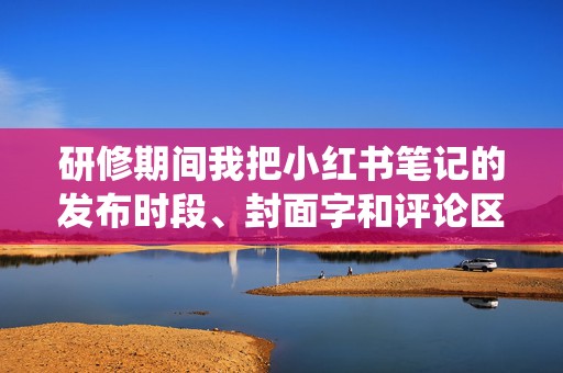 研修期间我把小红书笔记的发布时段、封面字和评论区追问都做成手册，替大家绕开代刷带来的合规风险