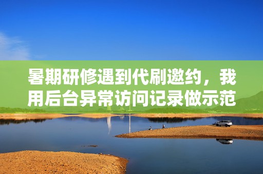 暑期研修遇到代刷邀约，我用后台异常访问记录做示范，带着团队把流量来源拆到地区、关键词和互动行为