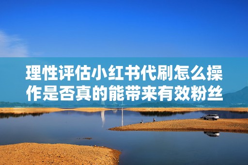 理性评估小红书代刷怎么操作是否真的能带来有效粉丝还是仅限表面繁荣