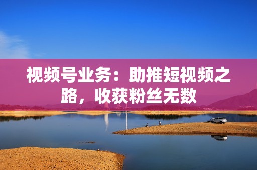 视频号业务：助推短视频之路，收获粉丝无数