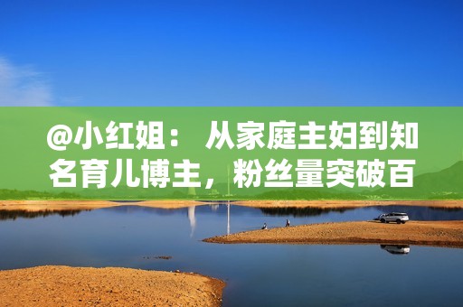 @小红姐： 从家庭主妇到知名育儿博主，粉丝量突破百万，带货能力惊人。