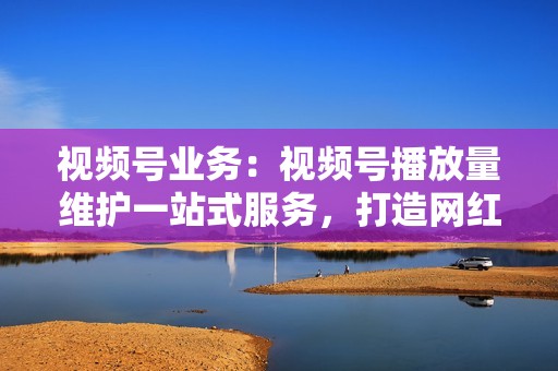 视频号业务：视频号播放量维护一站式服务，打造网红新高度