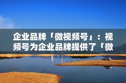 企业品牌「微视频号」：视频号为企业品牌提供了「微视频号」功能，企业可以通过创建微视频号，与用户建立直接联系，发布企业资讯、产品介绍等内容，增强品牌影响力和用户粘性。