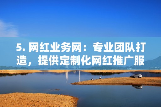 5. 网红业务网：专业团队打造，提供定制化网红推广服务