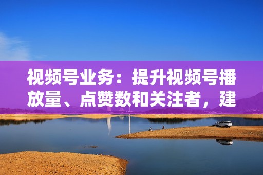 视频号业务：提升视频号播放量、点赞数和关注者，建立社群影响力