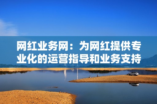 网红业务网：为网红提供专业化的运营指导和业务支持